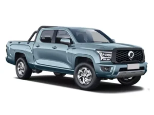 Great Wall Poer Kingkong