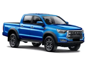 JAC T8